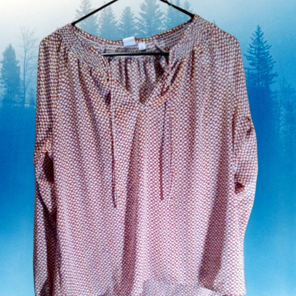 Gap Cool Effect With Burnt Orange Effect - Picture 1 of 5